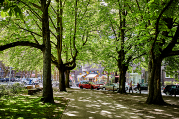 Grüne Oase in der Südstadt - Hochwertigster Wohntraum mit 3-Zimmern, Balkon und Einbauküche in der Südstadt