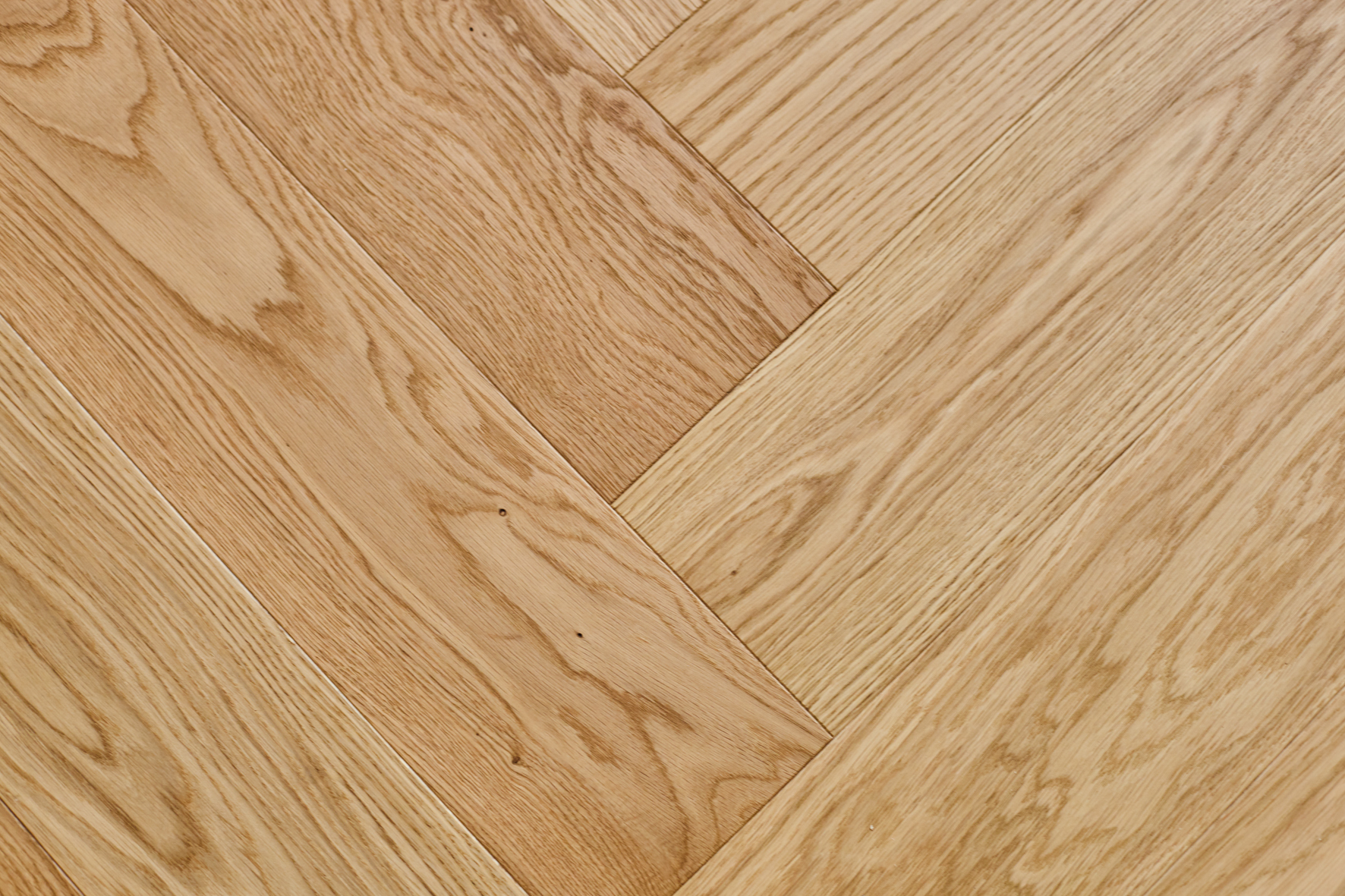 Eiche Echtholzparkett - Hochwertigster Wohntraum mit 3-Zimmern, Balkon und Einbauküche in der Südstadt