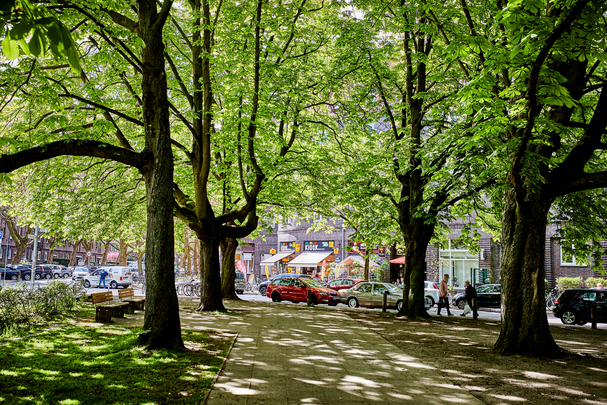 Grüne Oase in der Südstadt - Hochwertige Dachgeschosswohnung mit Einbauküche und großem Tageslichtbad