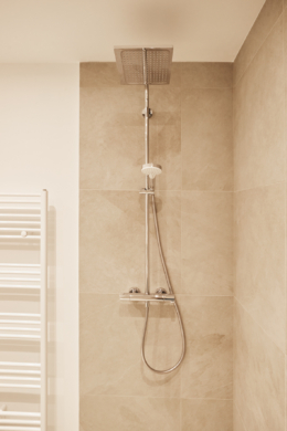 Badezimmer_Rainshower - Traumhaftes Hochparterre 1-Zimmerapartment mit großem Balkon und Einbauküche in Bestlage Hannover