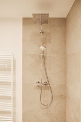 Badezimmer_Rainshower - Traumhaftes 2-Zimmerapartment mit Balkon und Einbauküche in Bestlage Hannover
