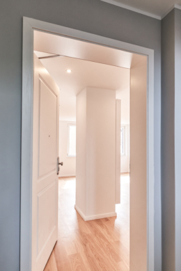 Zugang zur Wohnung - 2-Raum Apartment mit Einbauküche in der List – hochwertig saniert
