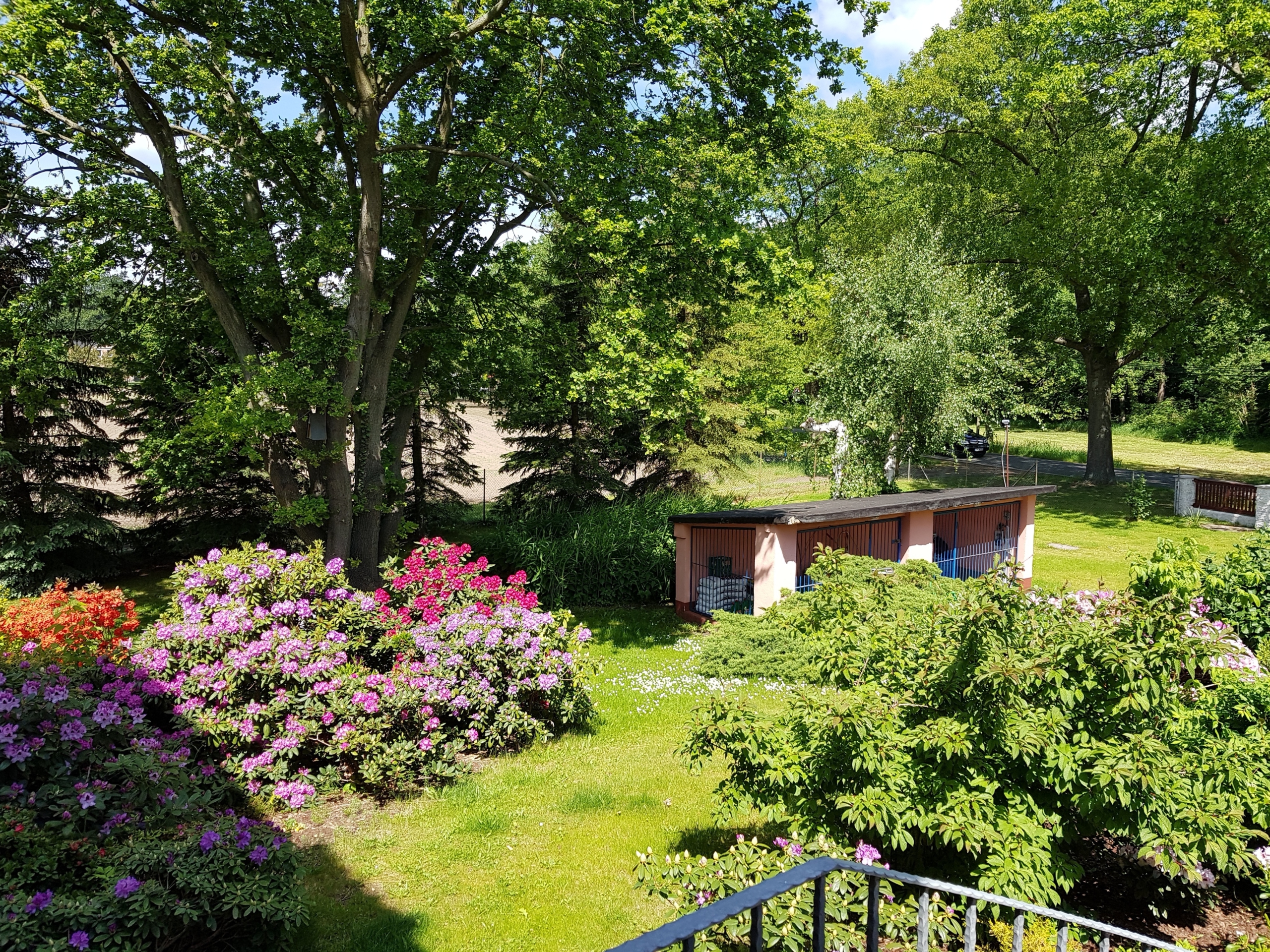 20190523_113918 - *RESERVIERT* Einmalige Villa mit 6000m2 idyllischem Garten und großem Pool** – im Herzen des Spreewalds