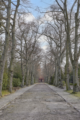 Umgebung - Zwei Etagen – Familientraum auf 6 Zimmern mit Gartenanteil im energetischen Neubau