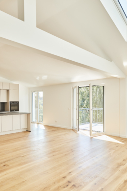 Zugang Terrasse - Besondere Ausstattung – Dachgeschosswohnung mit Fußbodenheizung und hohen Decken zum Erstbezug