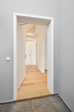 01_Zugang zur Wohnung - Besondere Ausstattung – Dachgeschosswohnung mit Fußbodenheizung und hohen Decken zum Erstbezug