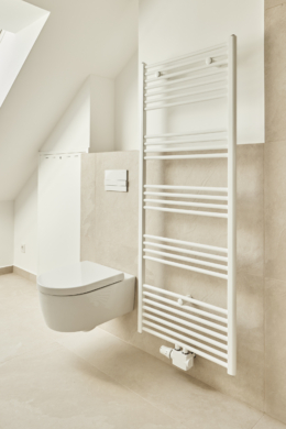 Gäste WC Detail - Besondere Ausstattung – Dachgeschosswohnung mit Fußbodenheizung und hohen Decken zum Erstbezug