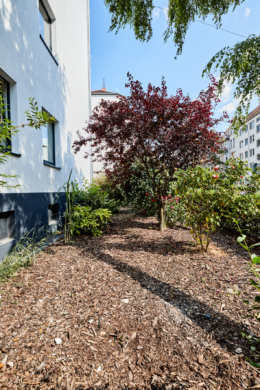 Begrünung vor dem Haus - Traumapartment mit Einbauküche und Tageslichtbad in vollsaniertem Mehrfamilienhaus