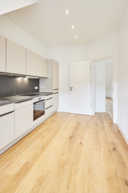 Wohnküche mit Blick zur Tür - Hannover Linden – 2,5-Zimmerwohnung mit Einbauküche und Luxusausstattung