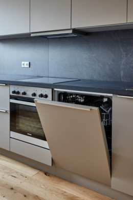 Küche Geschirrspüler - Vollsanierte 2-Zimmerwohnung mit hochwertiger Einbauküche inkl. Elektrogeräte